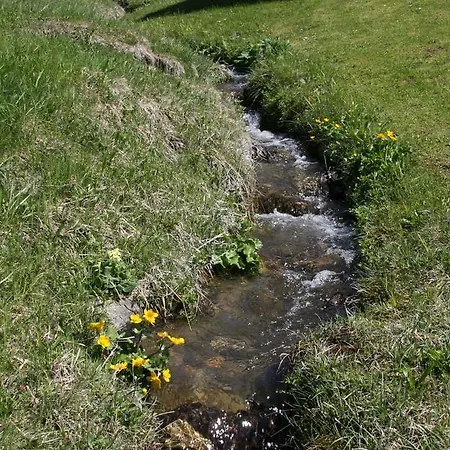 شاليه برجباخلي