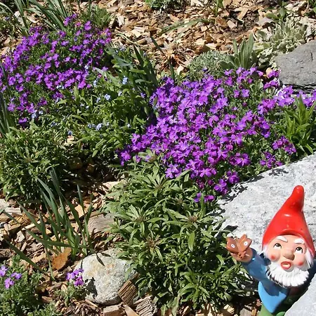 شاليه برجباخلي شقة *