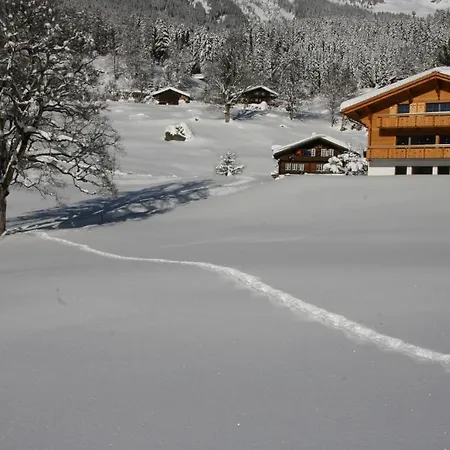 Chalet Baergbaechli Appartement Grindelwald