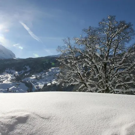 Chalet Baergbaechli