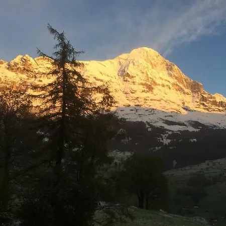 شاليه برجباخلي شقة *